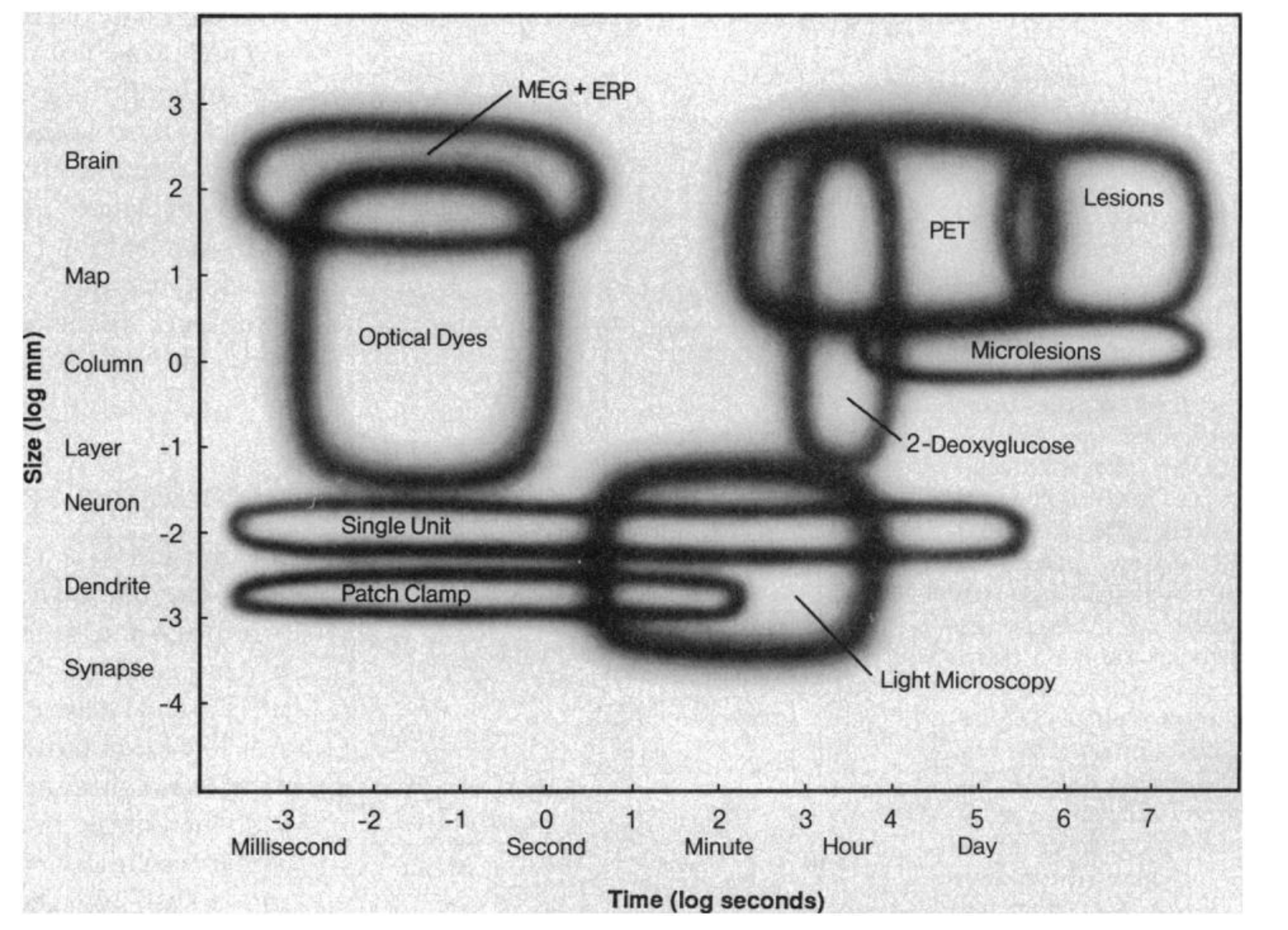 Churchland and Sejnowski 1988, Figure 3: the ranges of size and time that experimental techniques can measure